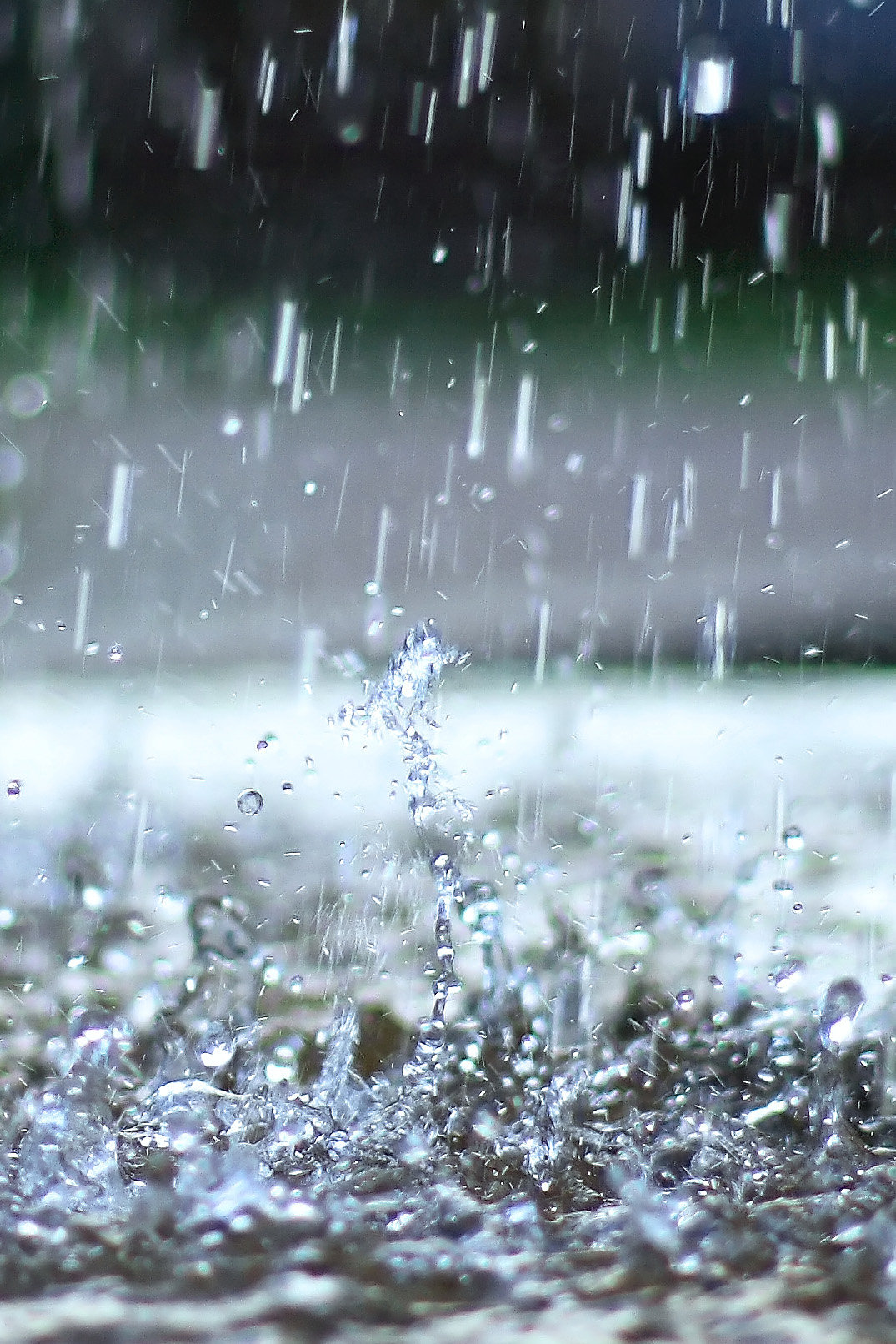 ����� ���� �� ����� ����� ���������