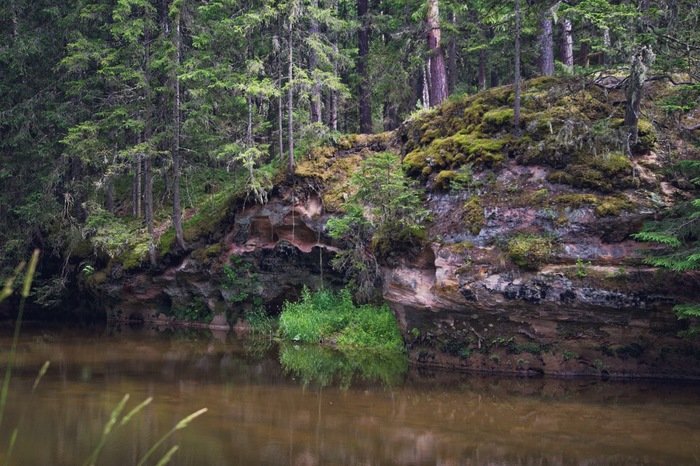 река тулемайоки карелия фото