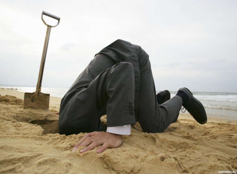 Совет новичкам от У. Баффетта