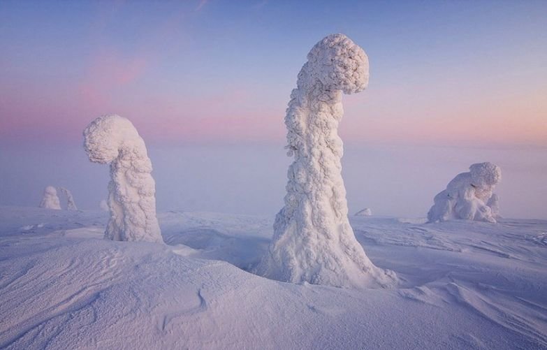 sentinels of the arctic, финляндия. фото