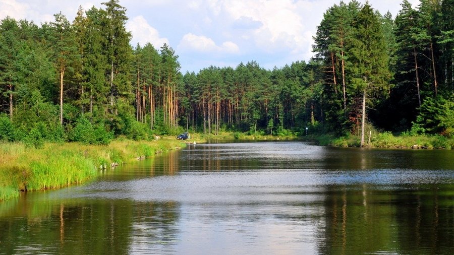 река в лесу фото