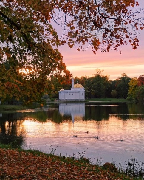 екатерининский парк царское село фото