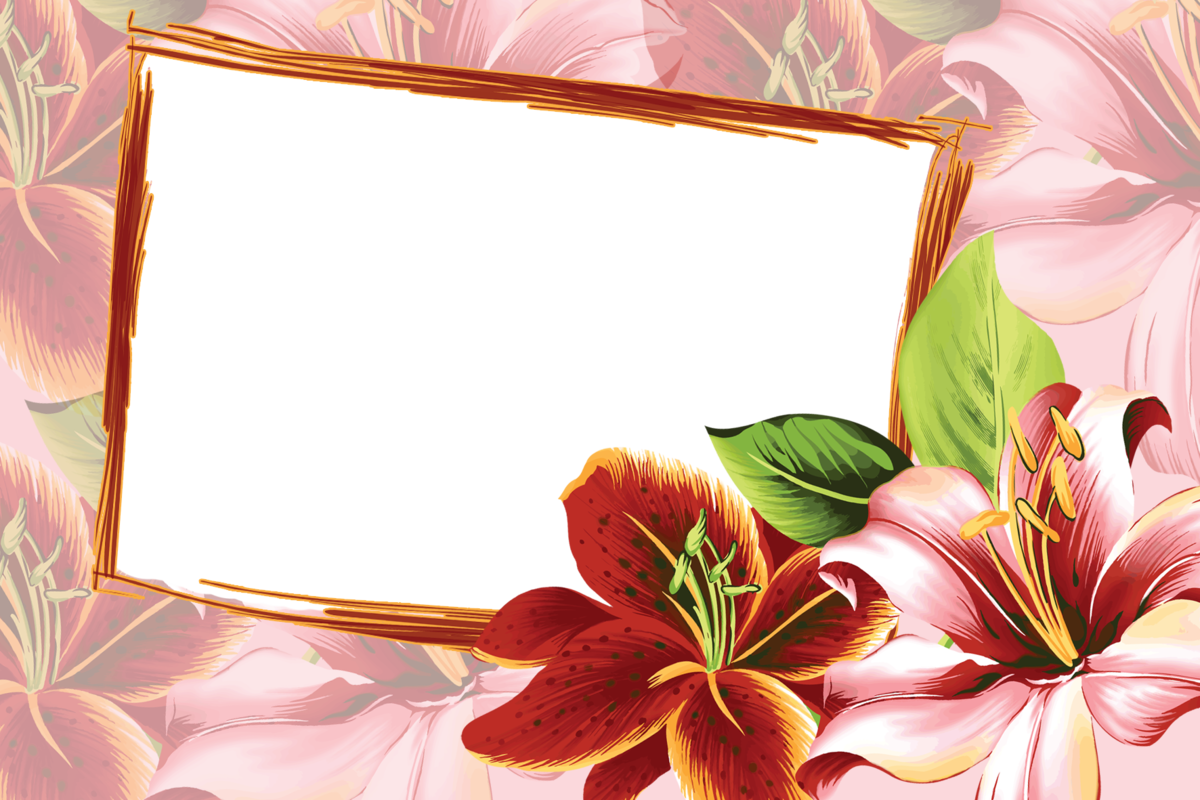 ���, ��������������� �������� � �����������