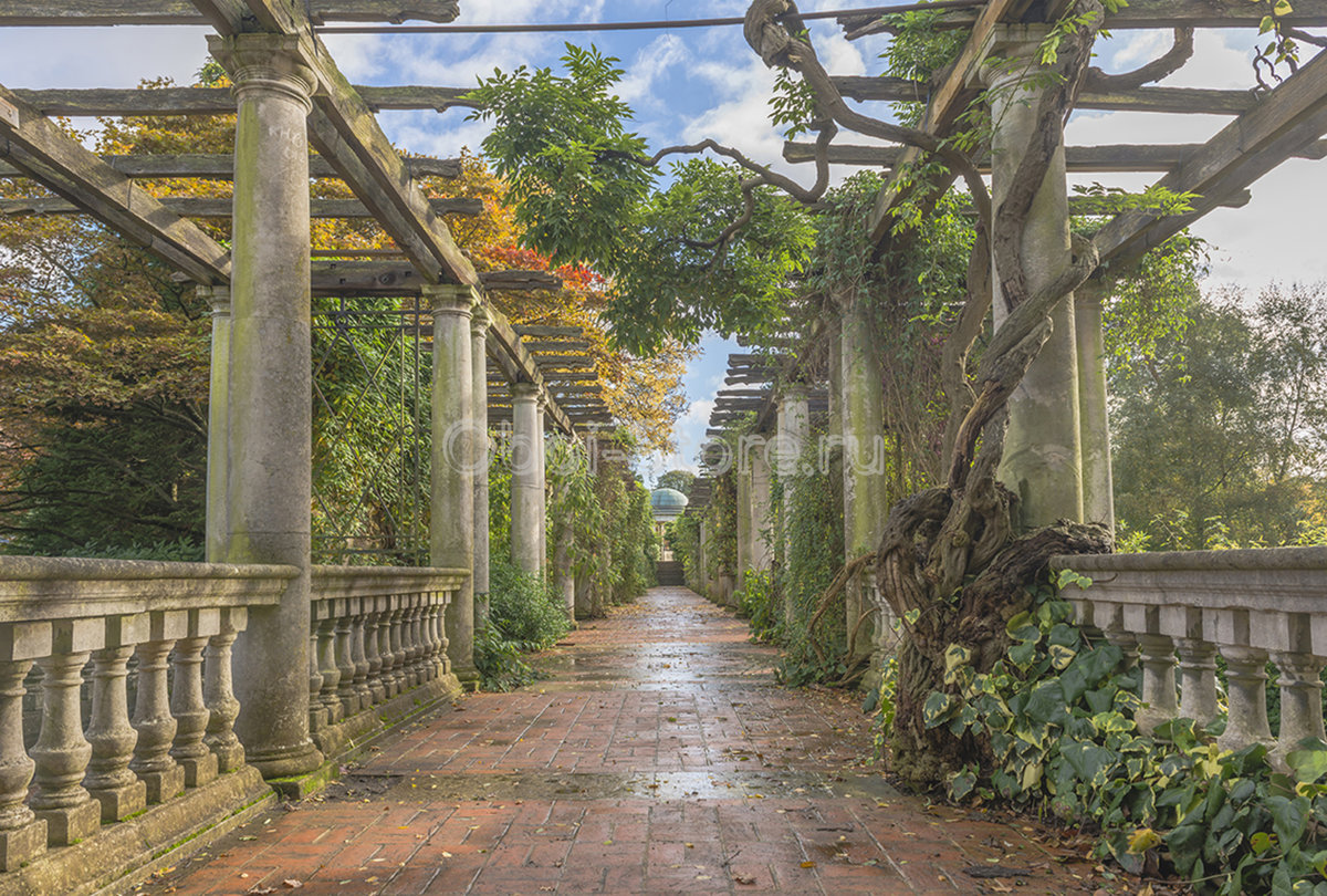 hampstead pergola фото