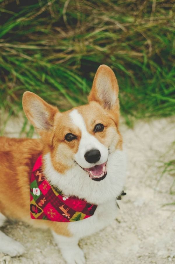 ����� ����� � ���������, ��������� ������ ������������