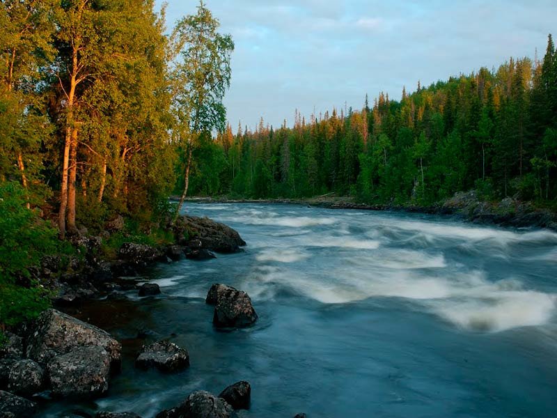 кольский полуостров река умба фото