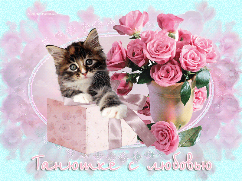 ��� ������ ��������