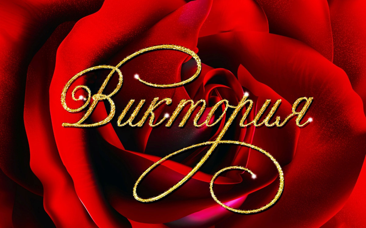 ������� ���, �������� � ������� ��� ��������