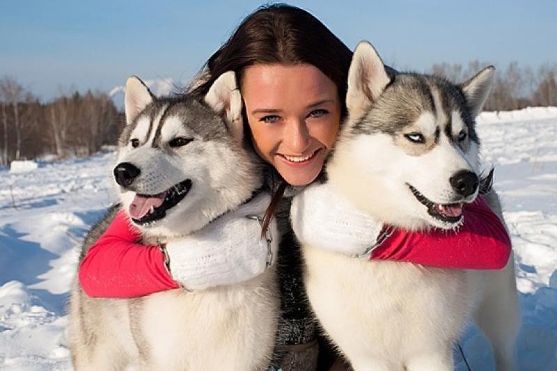 Ð¡Ð¾Ð±Ð°ÐºÐ¸ Ñ ÑÐ¾Ð·ÑÐ¹ÐºÐ¾Ð¹.