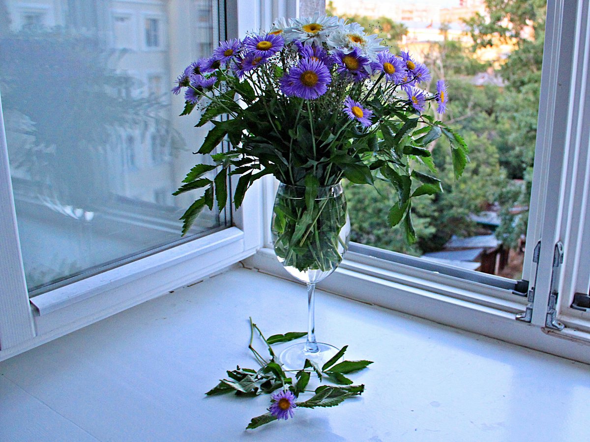 ����� ������ ������ ���� �������� �� ���� �����