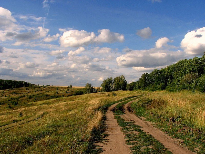 деревенская дорога фото