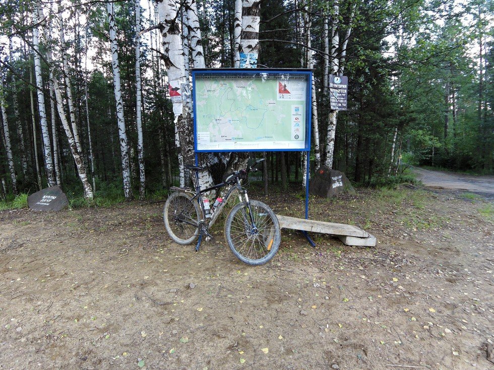 парк сосновка в санкт петербурге фото