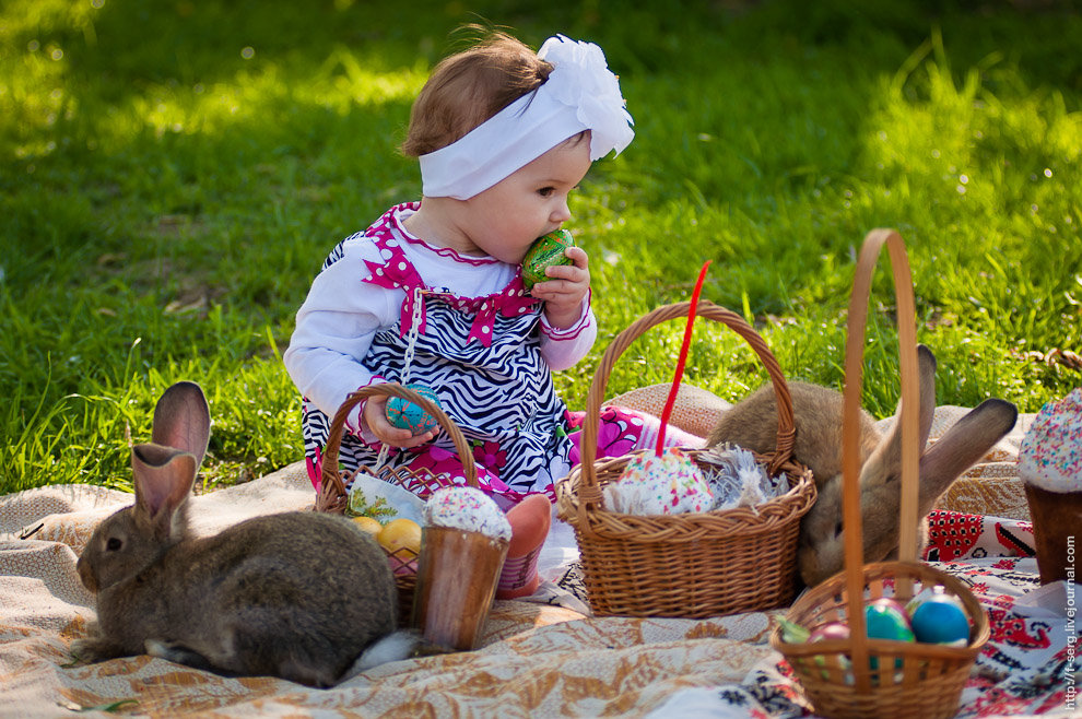 ��������, ����� ���� �������� ��������