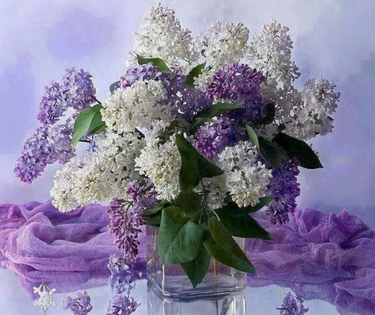 �������� �������� ������