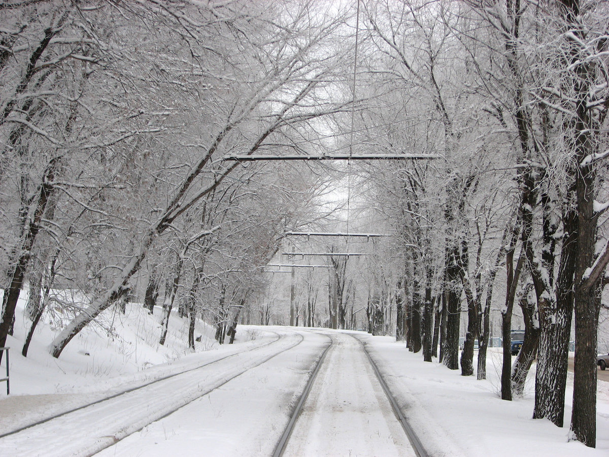 �������� �������� �����, ��� �������� ��������