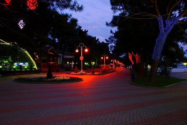 анапа улицы ночь фото