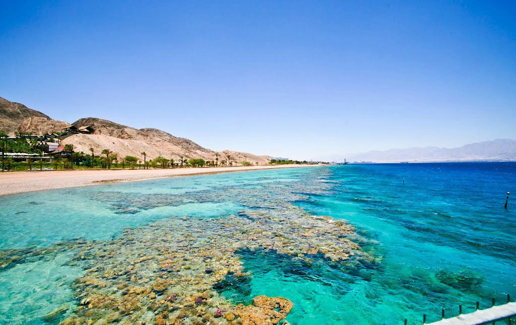 эйлат красное море фото