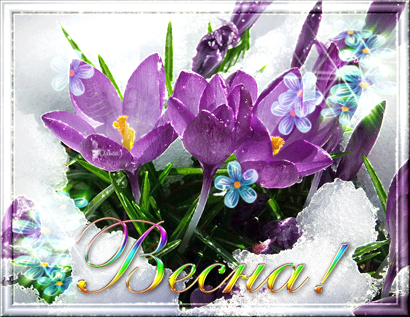 ������������ �������� ����� 1280�316