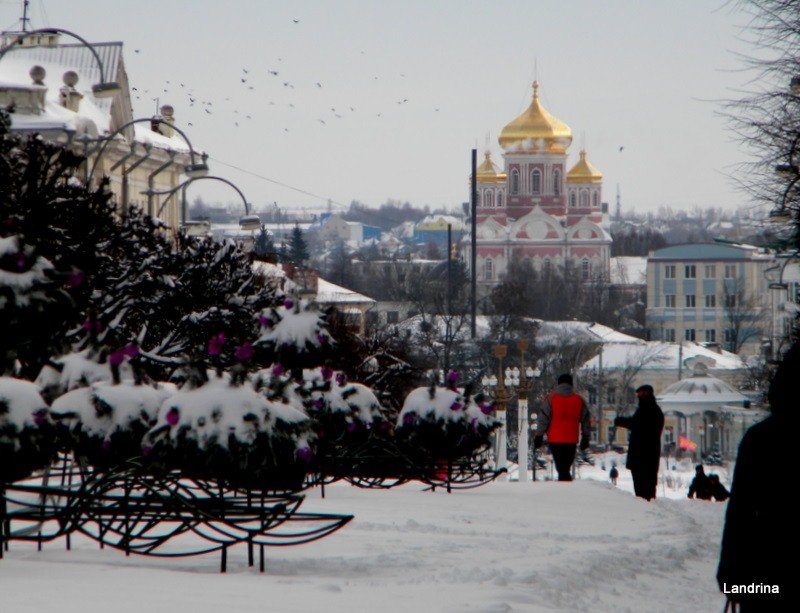 троице сергиева лавра зимой фото