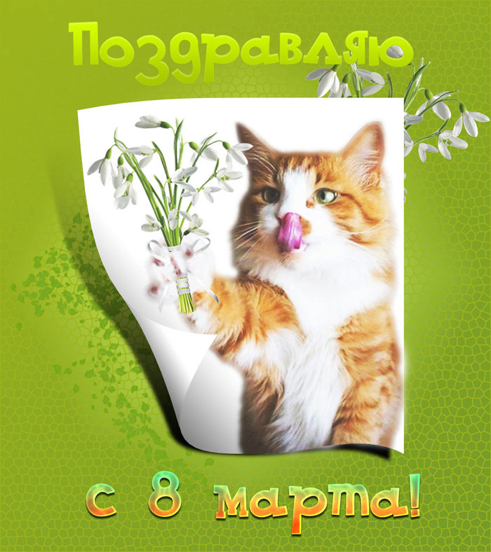 �������� �����������, �������� � 8 ����� � �����