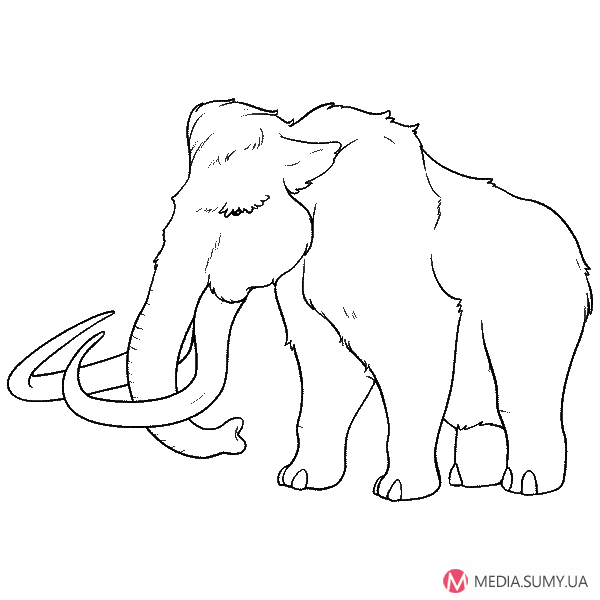 Рисунок мамонта для детей легко и красиво