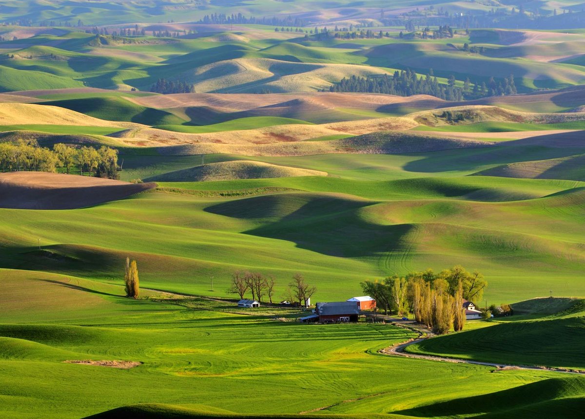 холмы palouse, сша фото