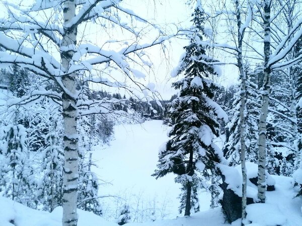 Зимняя сказка Карелии в туре Рускеала – Карельская Сага