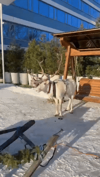 Отдых на каникулах: 7 идей в Sheraton Skypoint Luxe