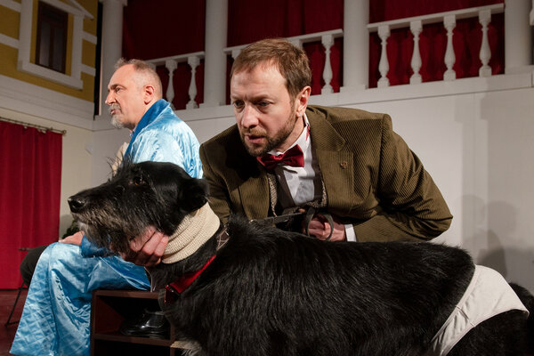 Спектакль "Собачье сердце" в Театре Комедии
