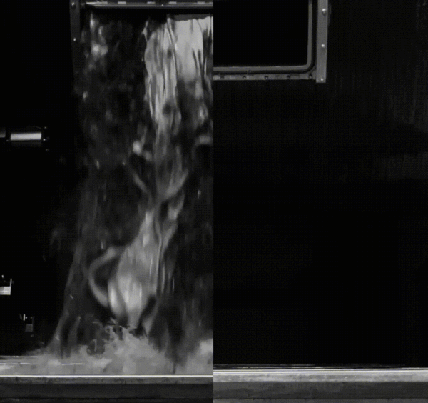 Прозрачная и меняющая цвет: кожа, о которой вы не знали