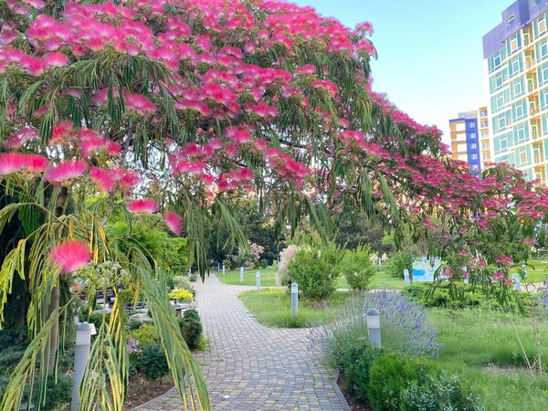 Почему мы едем на море с детьми в Севастополь?