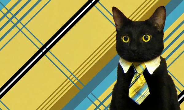 Создавай реалистичные видео с нейросетью Runway Gen-3