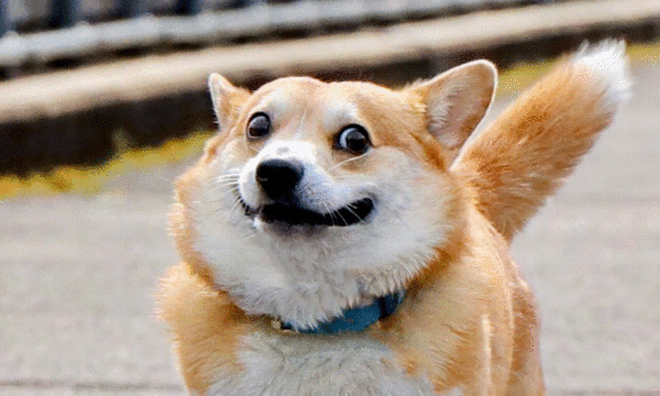 Создавай реалистичные видео с нейросетью Runway Gen-3