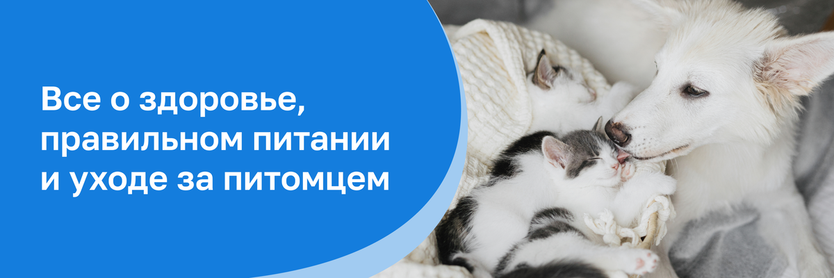 Header Container Image