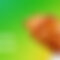 Header Container Image