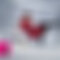 Header Container Image