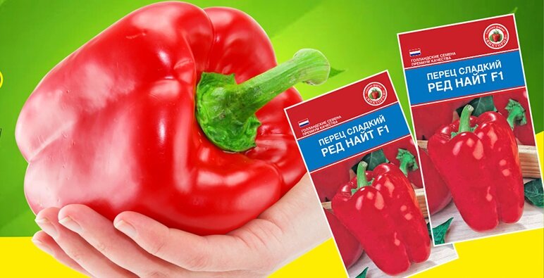 Голландский рыцарь - перец Ред Найт.