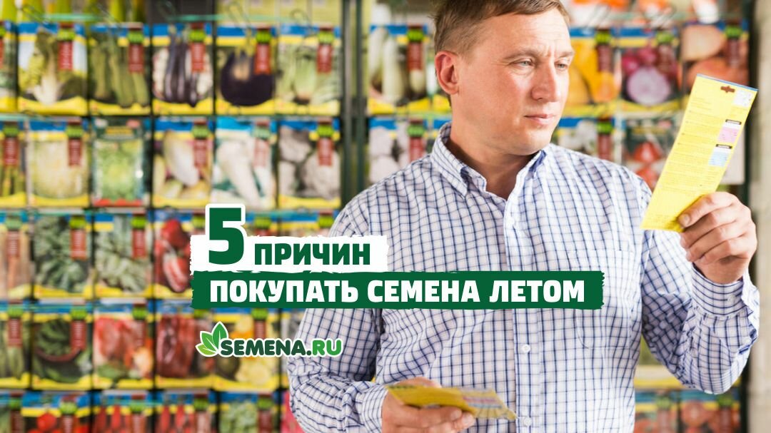 Опытные садоводы советуют покупать семена летом
