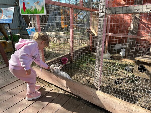 Почему мы едем на море с детьми в Севастополь?