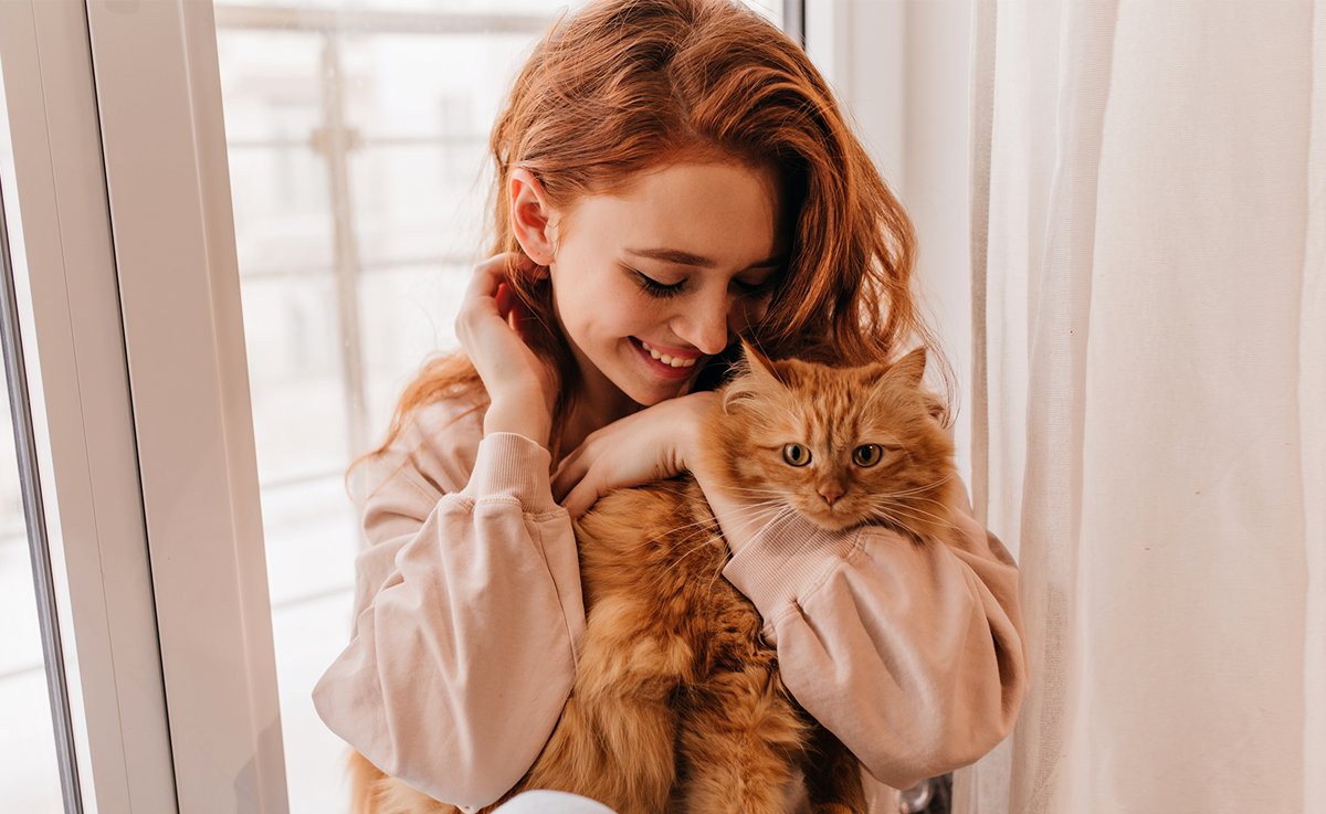 Стерилизация кошки решает одну проблему, но приводит к другой. Что должен знать хозяин