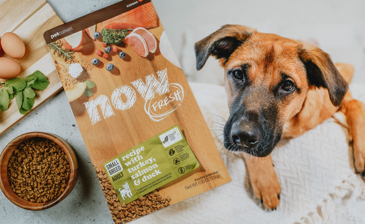 Читать состав и учитывать особенности животного. Как эксперты советуют выбирать сухой корм