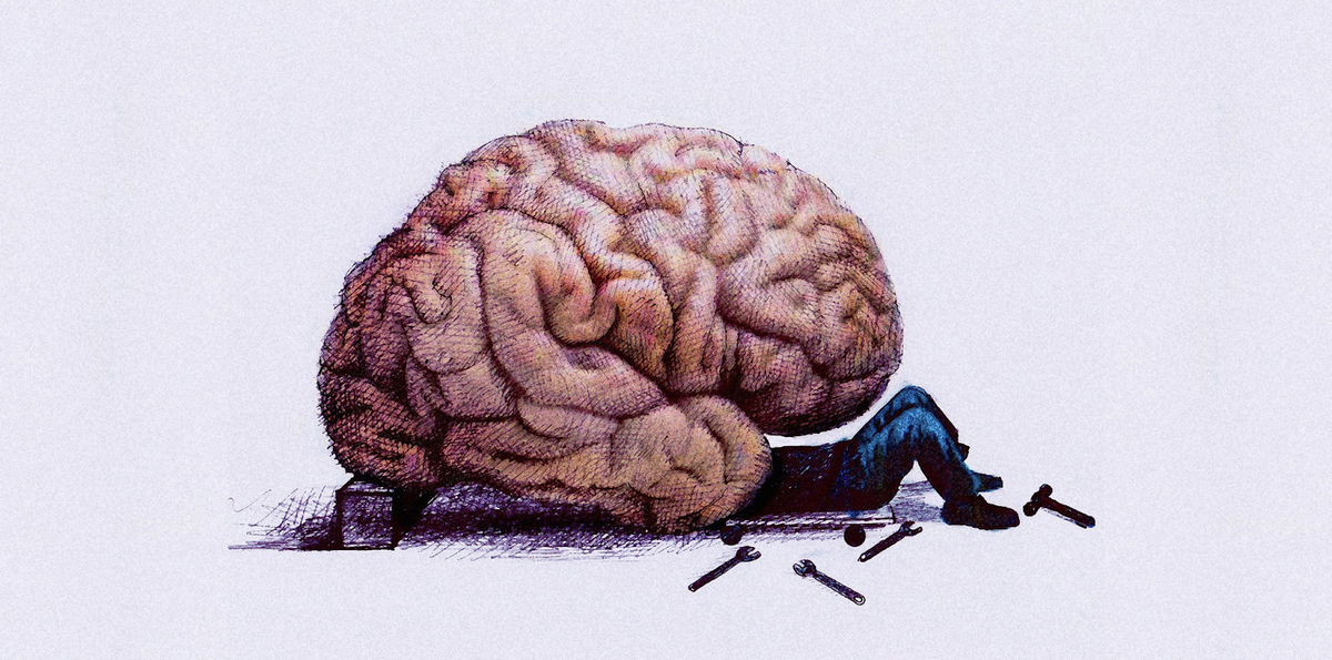 Шесть друзей мозга. Зачем вам аминокислоты?