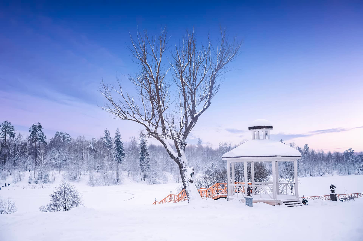 Чем заняться в выходные на свежем воздухе?