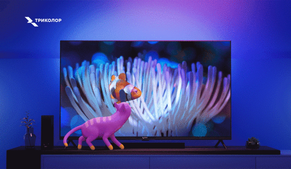Обзор новинок телевизоров от Триколора: стоит ли брать