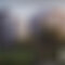 Header Container Image