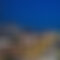 Header Container Image