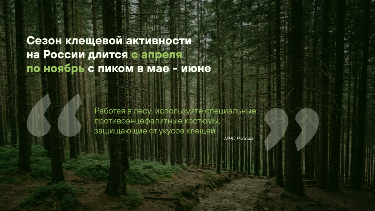 Как защитить себя от клещей