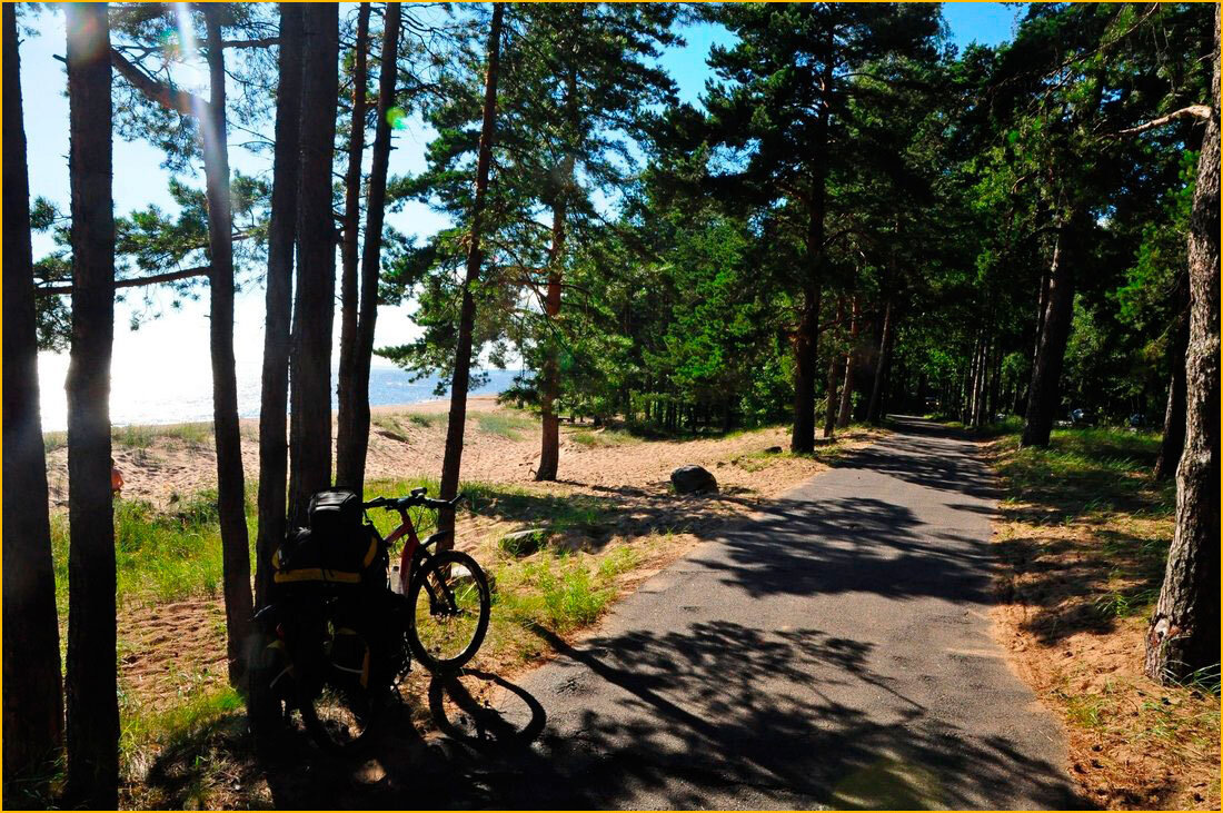 Лучшая велотрасса Петербурга, о которой вы не знаете