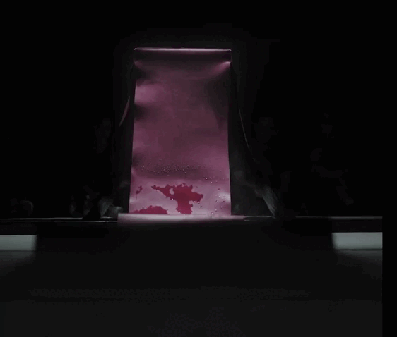 Прозрачная и меняющая цвет: кожа, о которой вы не знали