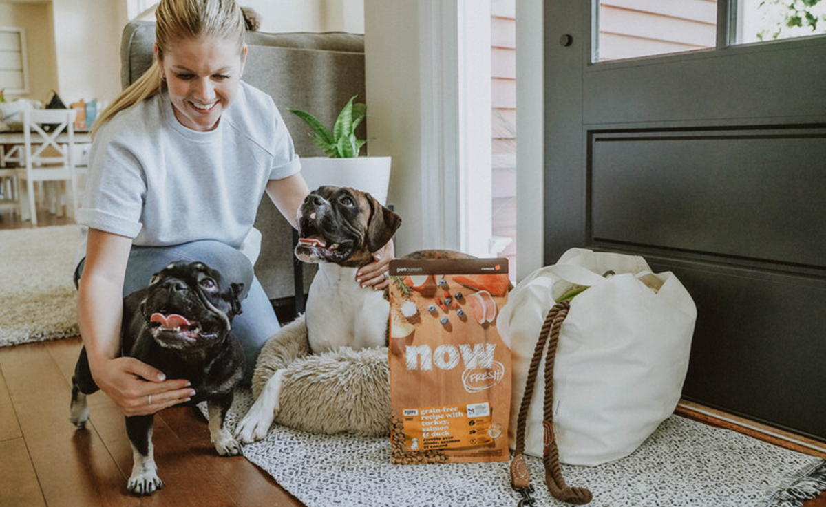 Гайд по кормлению собак: отвечаем на 4 популярных вопроса, которые волнуют каждого, у кого есть питомец